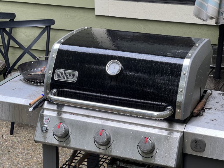 Can You Grill in the Rain? Weather Considerations for BBQ